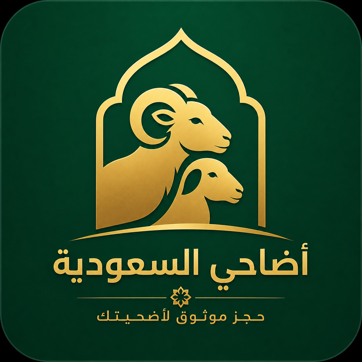 أضاحي السعودية